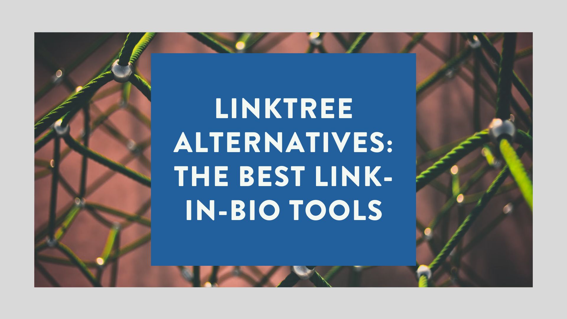 Linktree (@Linktree_) / X