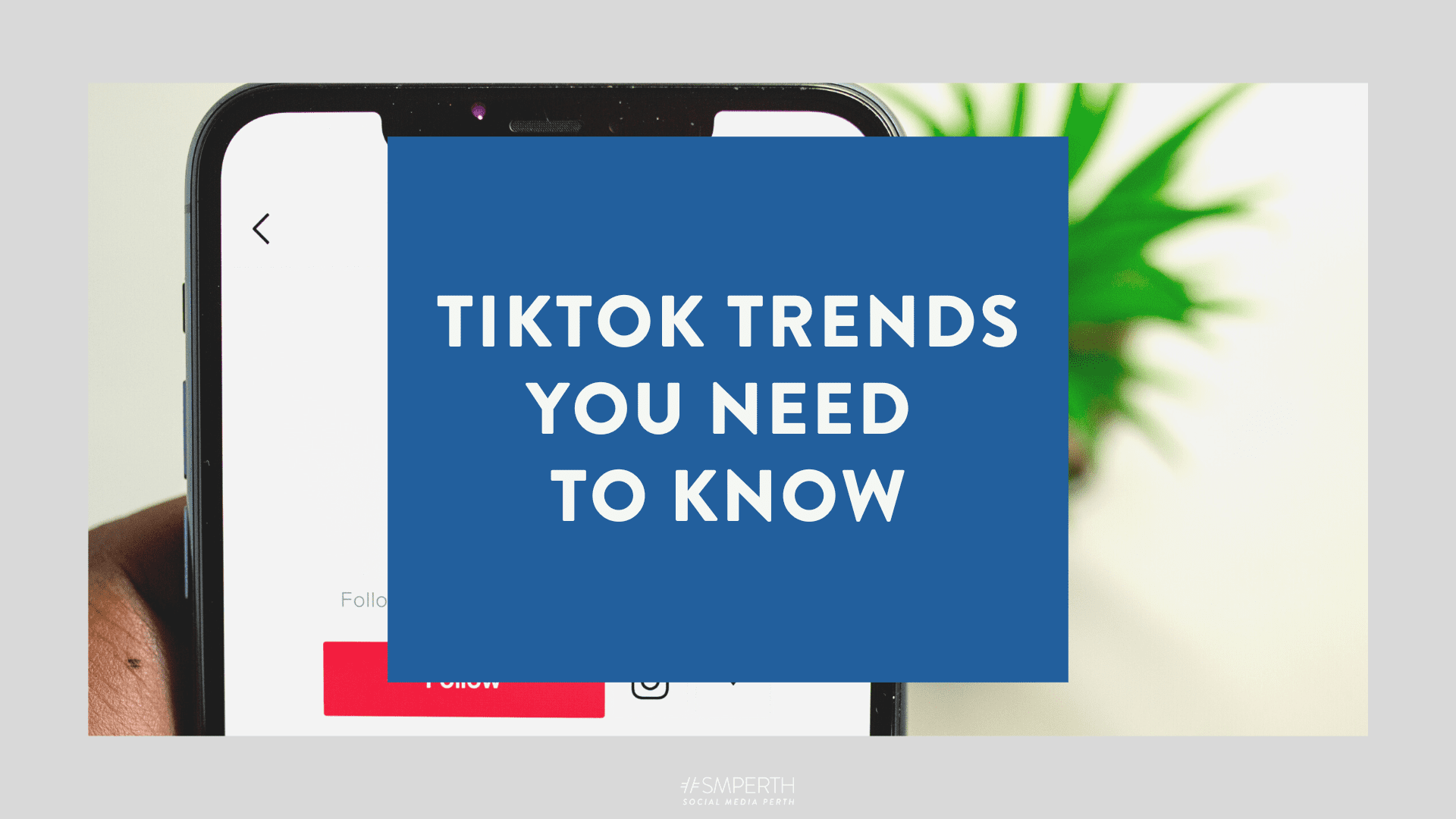 23 TikTok  finds you didn't know you needed in 2023